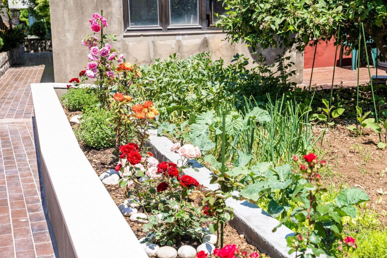 Studio Apartment Lapad Dubrovnik Eksteriør billede
