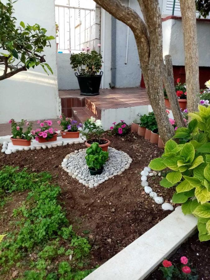 Studio Apartment Lapad Dubrovnik Eksteriør billede